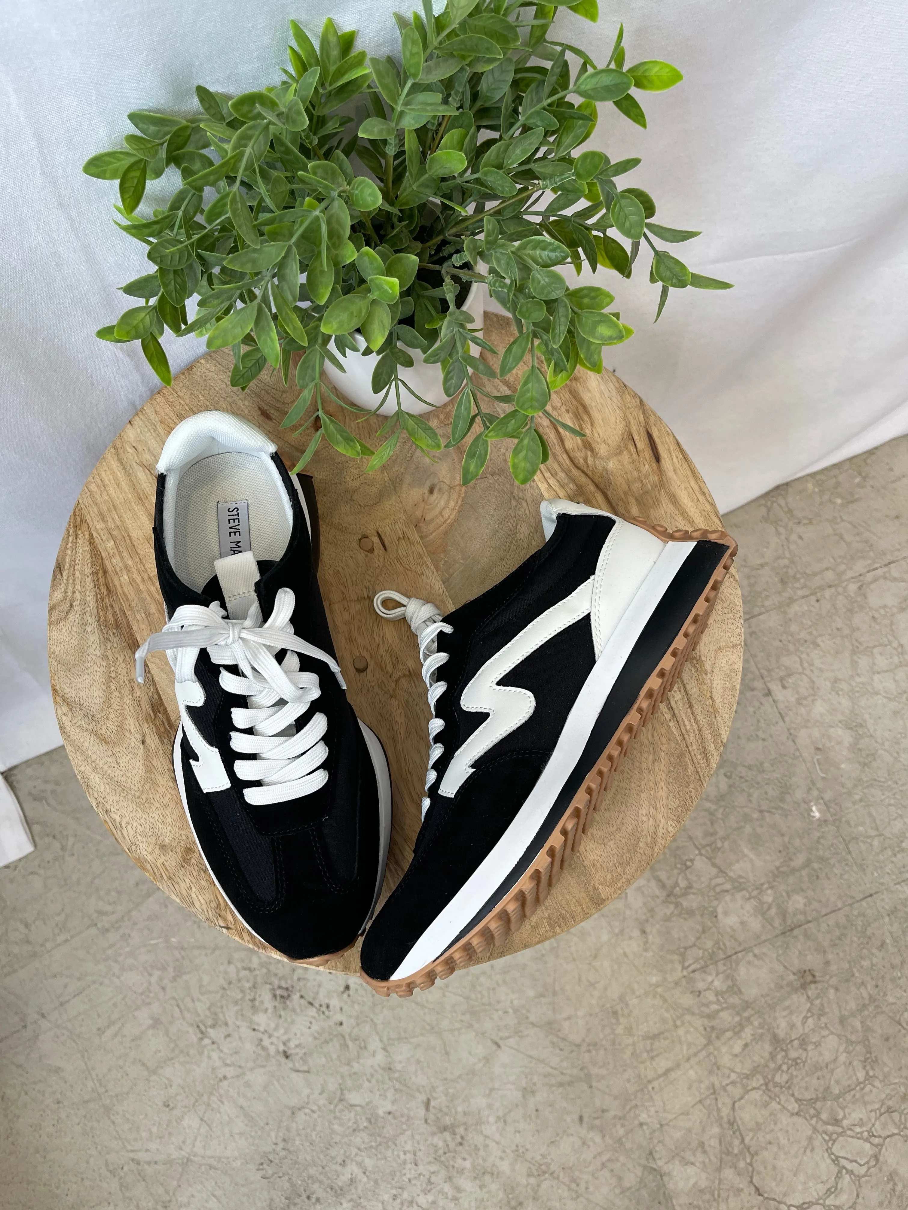 Steve Madden Campo Black White Sneaker
